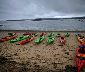 how to choose a kayak