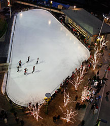 rink_aerial-250v